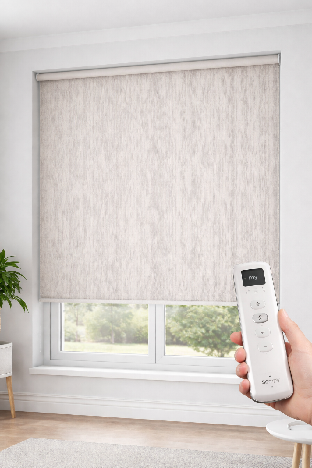 roller blinds